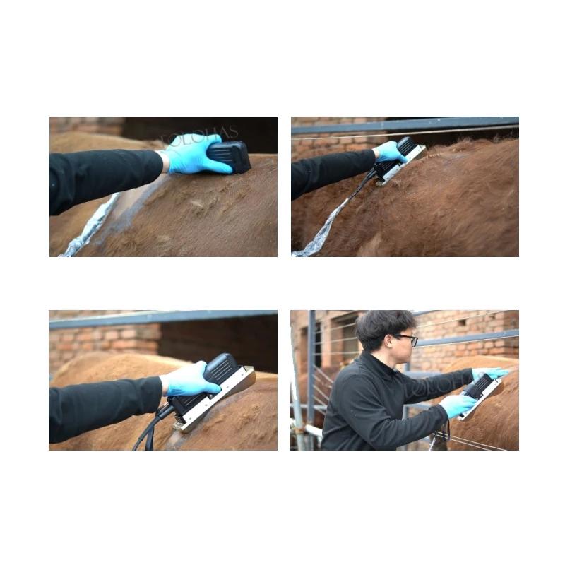 Renco Renko Backfat Thickness Measurement Tester Pig Backfat Meters Digital Indicator 1-3 Layer Fat Sows Bovine Ultrasound Pig Back Fat Thickness Meter Tester