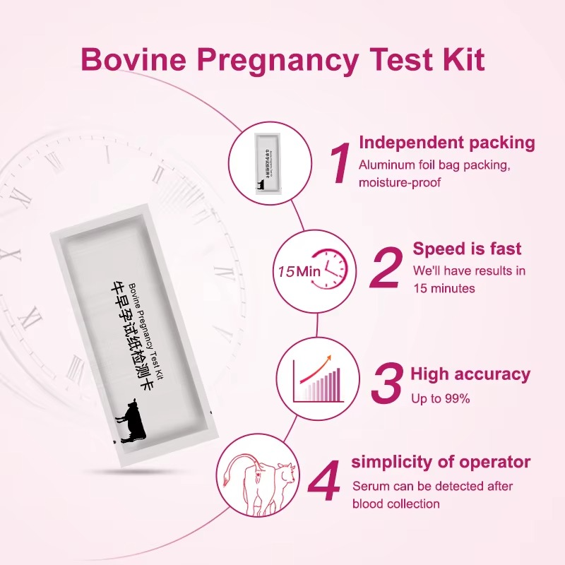 Cattle Cow Early Pregnancy test Card Set Veterinary Instrument